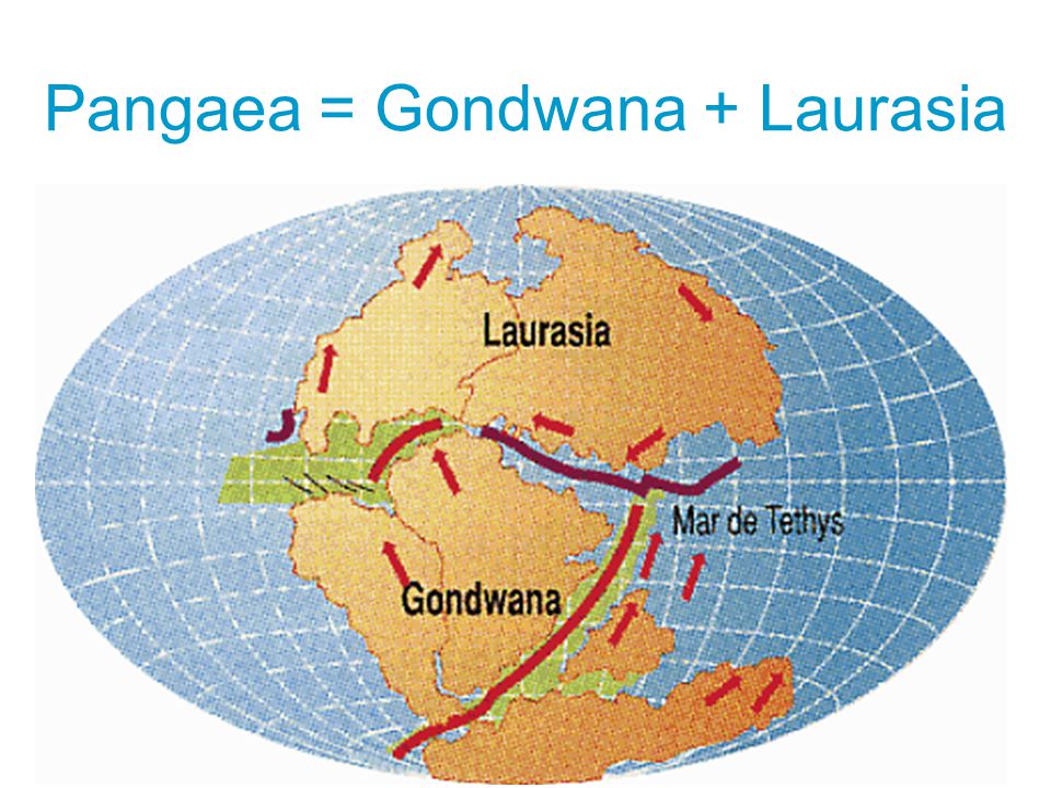 Pada zaman dahulu diperkirakan benua pangea terpecah menjadi dua benua yang ada di bagian selatan disebut sebagai benua